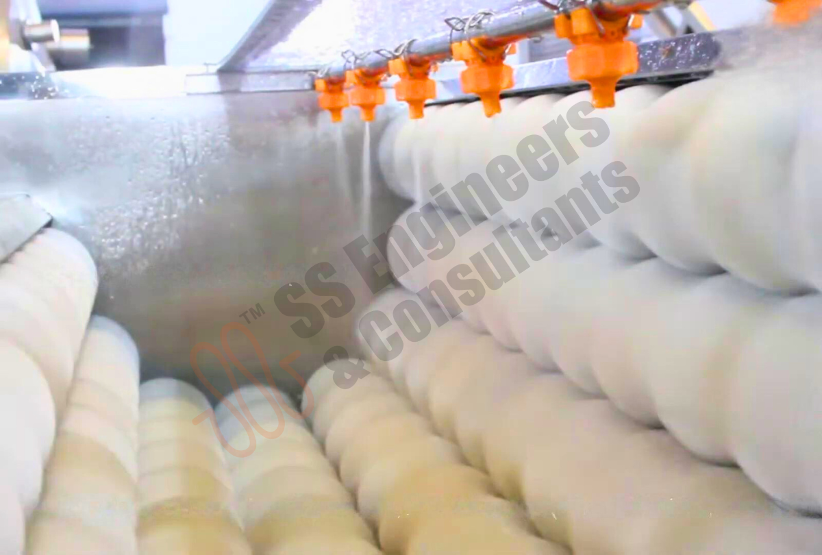 Root Vegetables Washing Sorting